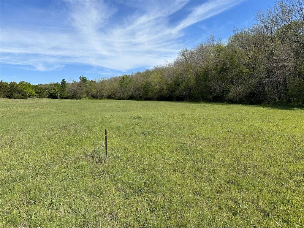 Whitewright, TX 75491,TBD Rose Hill Road