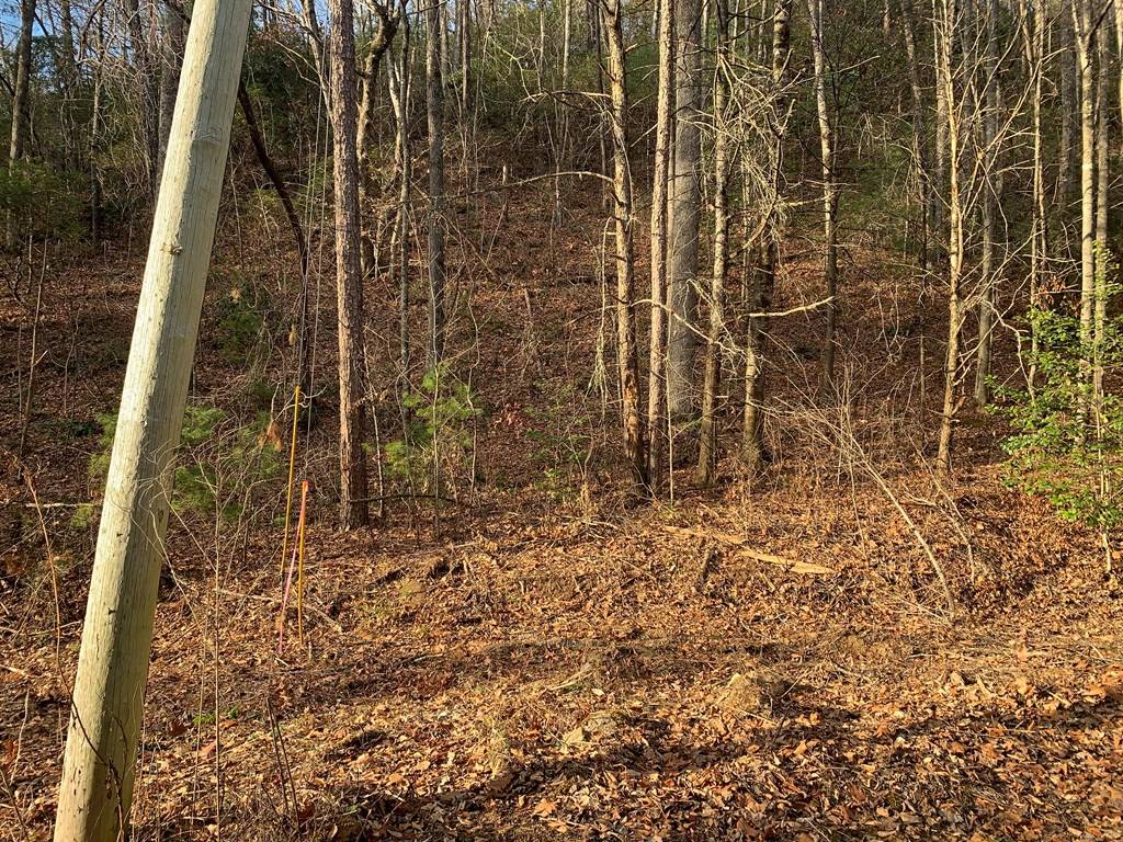 Murphy, NC 28906,3.66 Horton Road