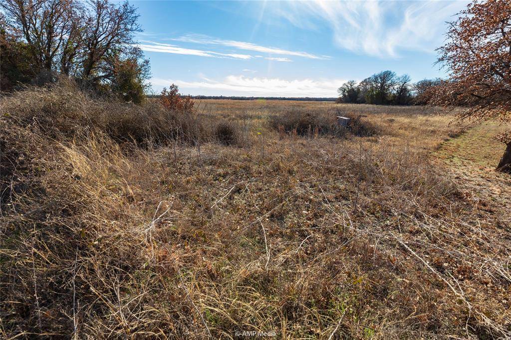 Anson, TX 79501,TBD-Lot 1 County Road 358