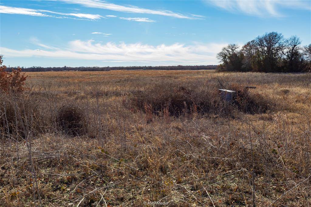 Anson, TX 79501,TBD-Lot 1 County Road 358