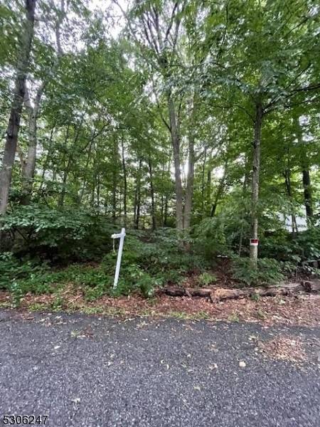 Vernon Twp., NJ 07422,4 Shomokin Rd