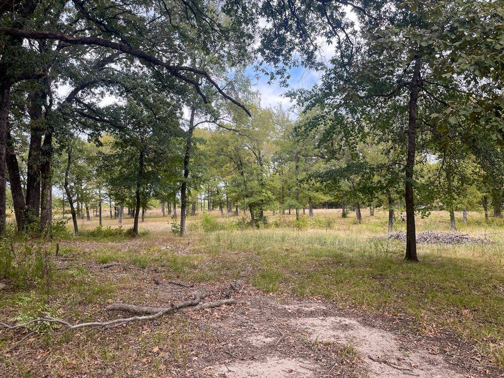 Bonham, TX 75418,650 County Rd 2607