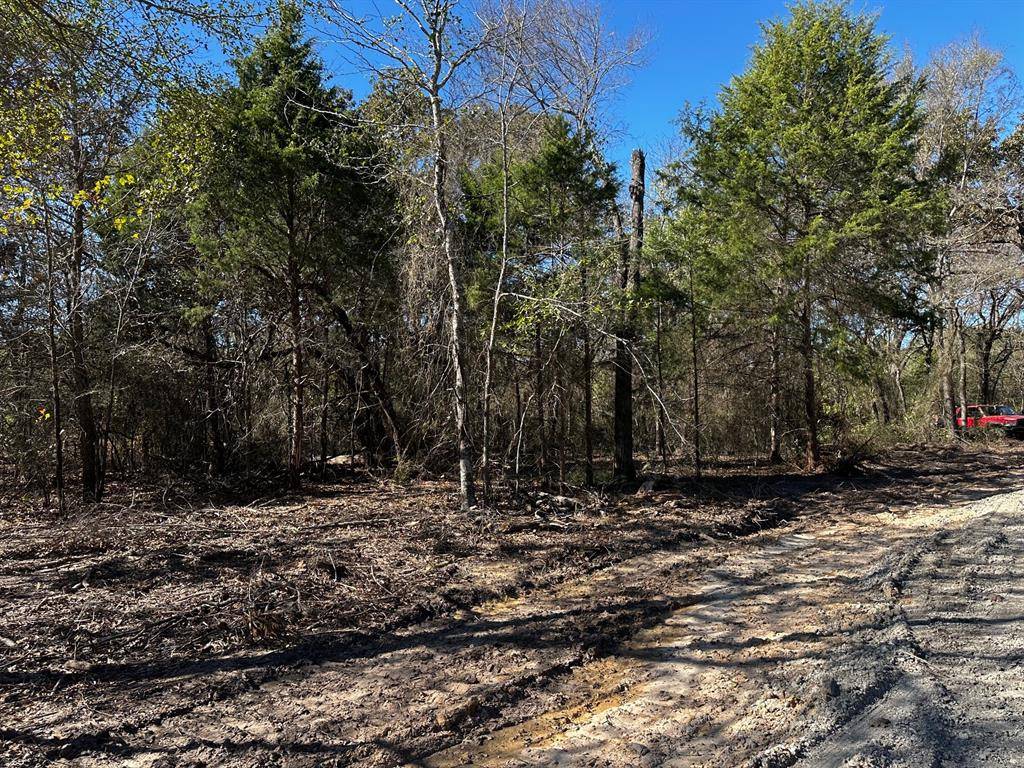 Van, TX 75790,TRACT D  397 PRIVATE ROAD 8507