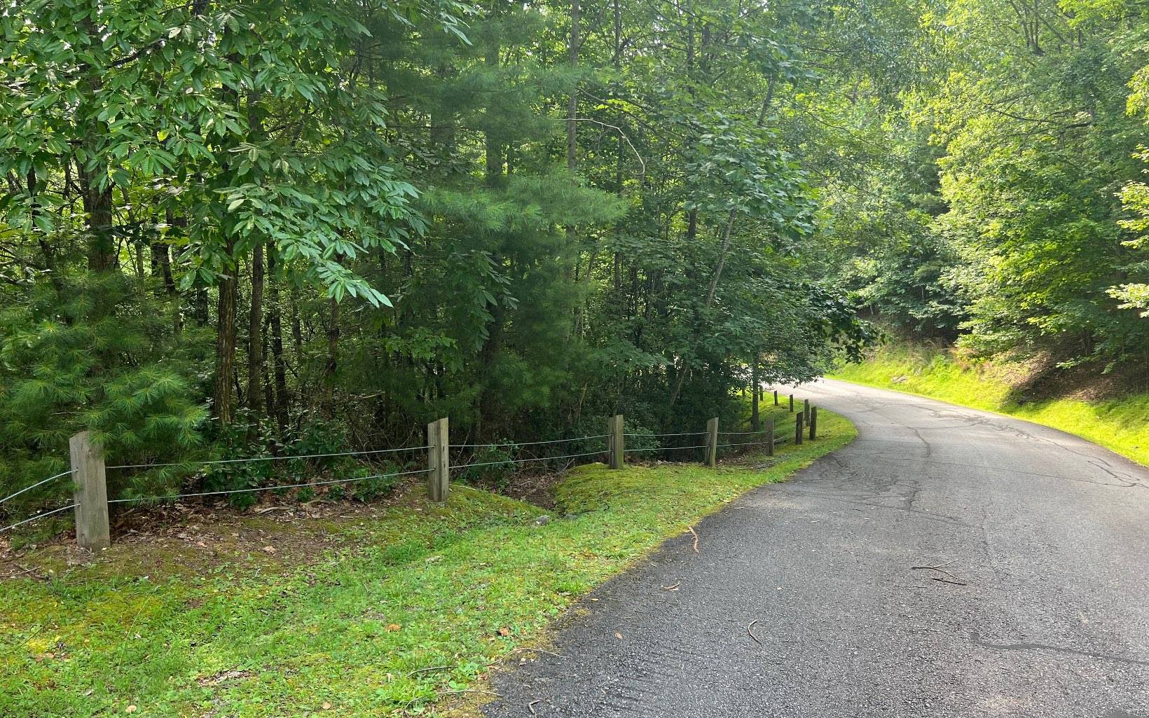 Hayesville, NC 28904,LT 40 Double Knobs Drive