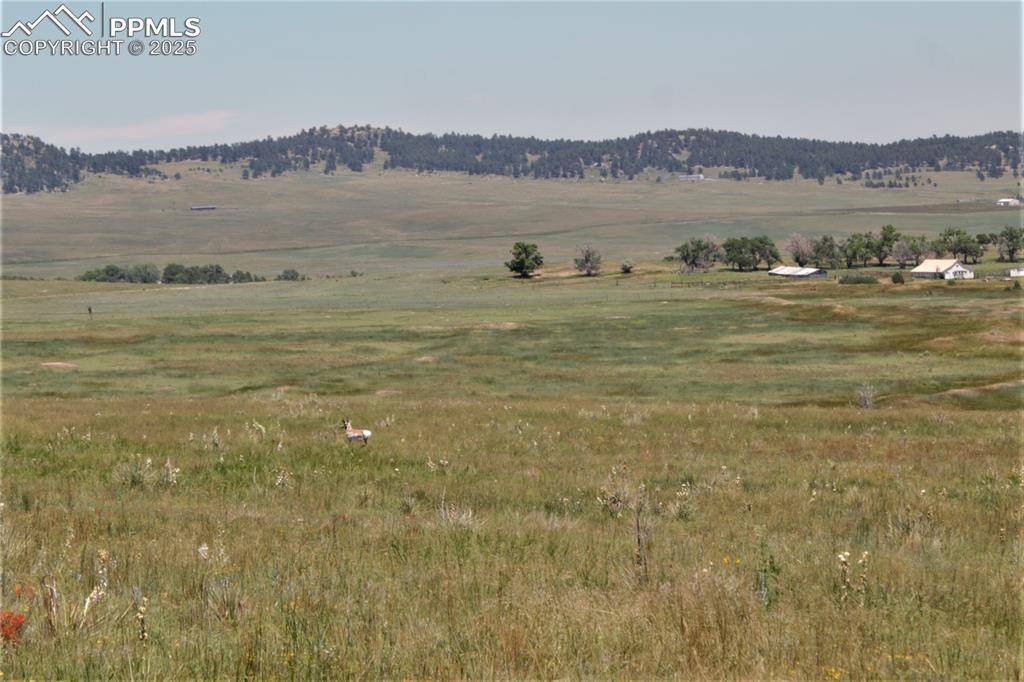 Calhan, CO 80808,Tract 21 McClelland RD