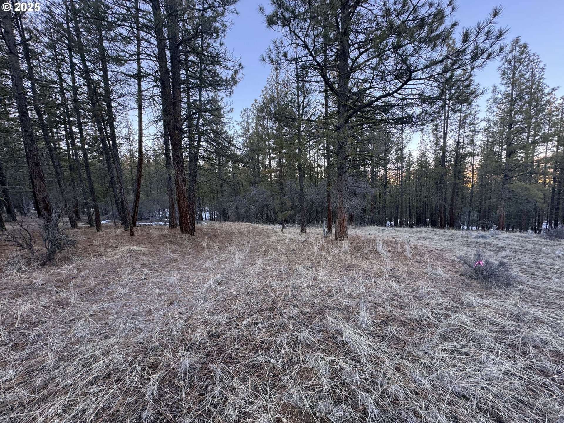 Beatty, OR 97621,Bobcat CIR #Lot 7