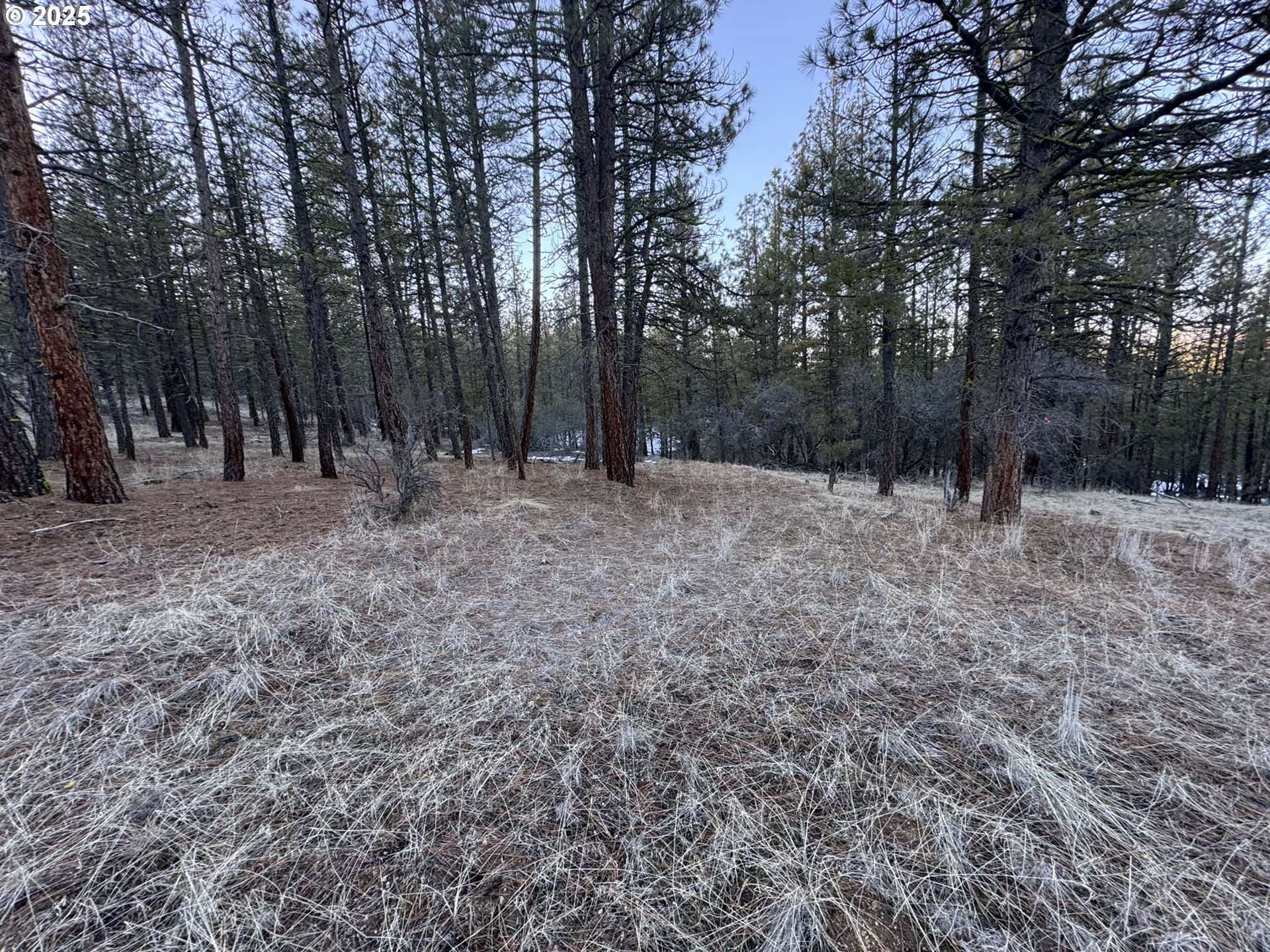 Beatty, OR 97621,Bobcat CIR #Lot 7