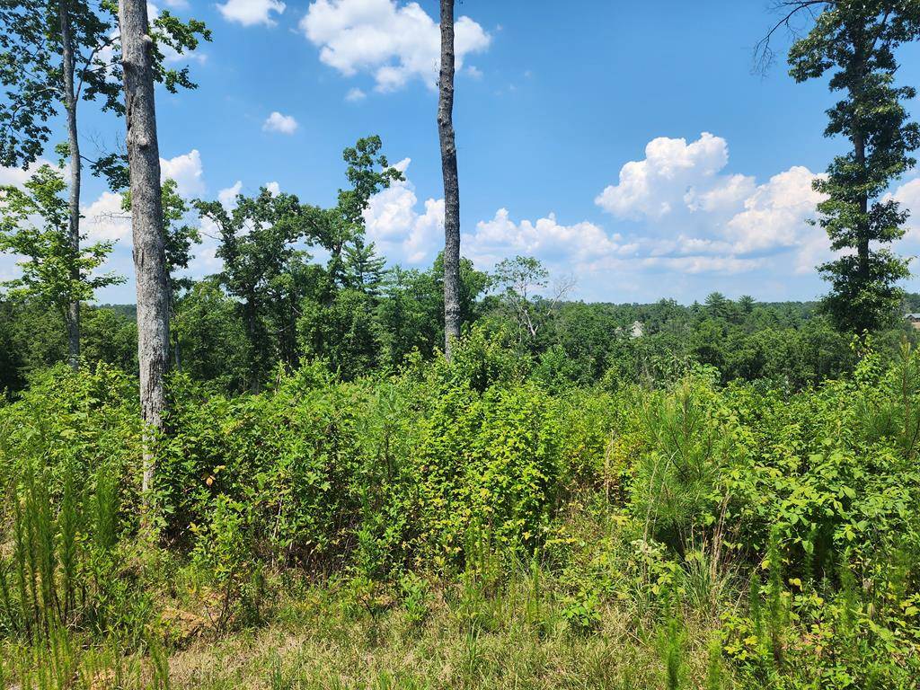 Ellijay, GA 30540,Lot 211 Woodstone Trail