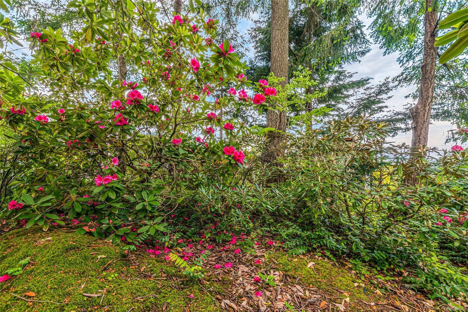 Nanaimo, BC V9R 5Z5,1241 Okanagan Pl