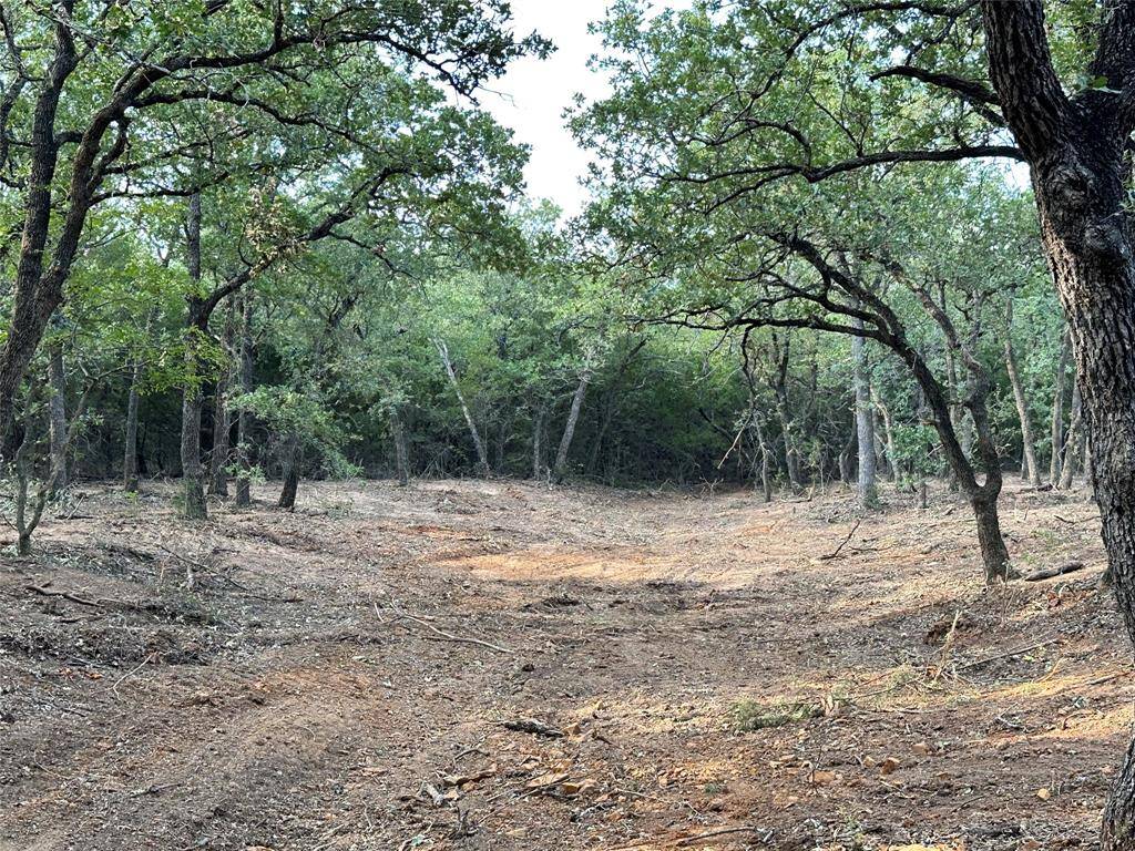 Rio Vista, TX 76093,8436 CR 1204