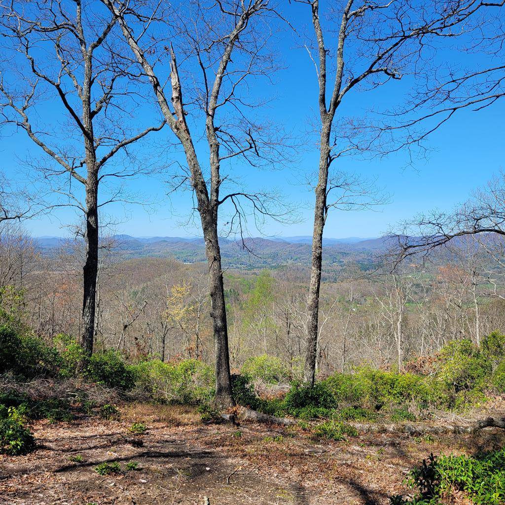 Hayesville, NC 28904,LT 20 Summit Drive