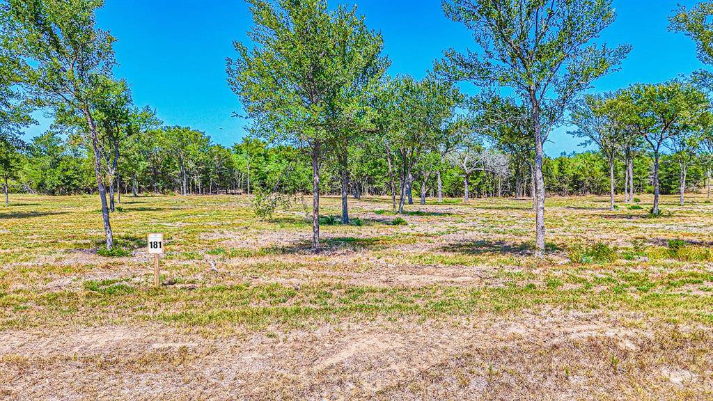 Corsicana, TX 75110,Lot 181 Waterfront Club Drive