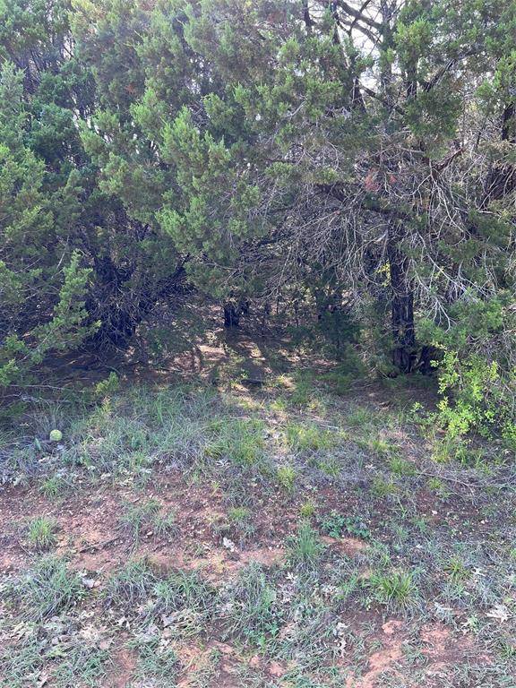 Whitney, TX 76692,39030 Cedar Trail