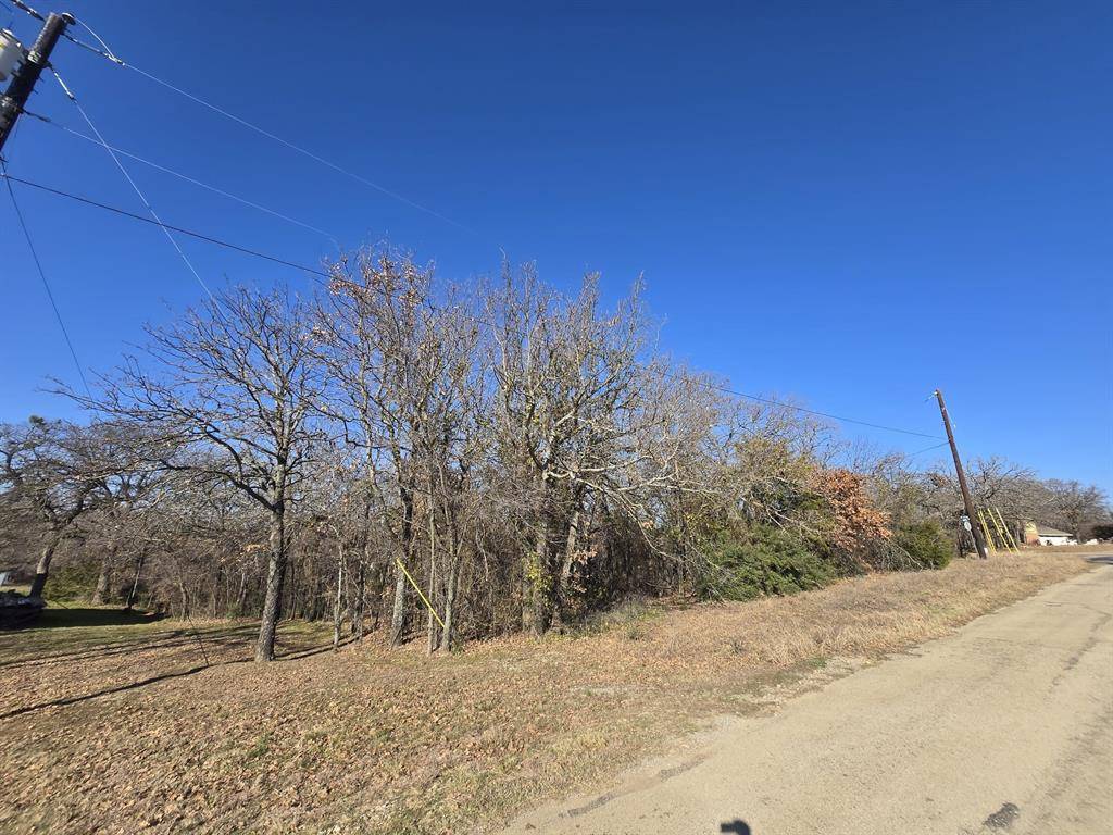 Oak Point, TX 75068,401 Dogie Trail