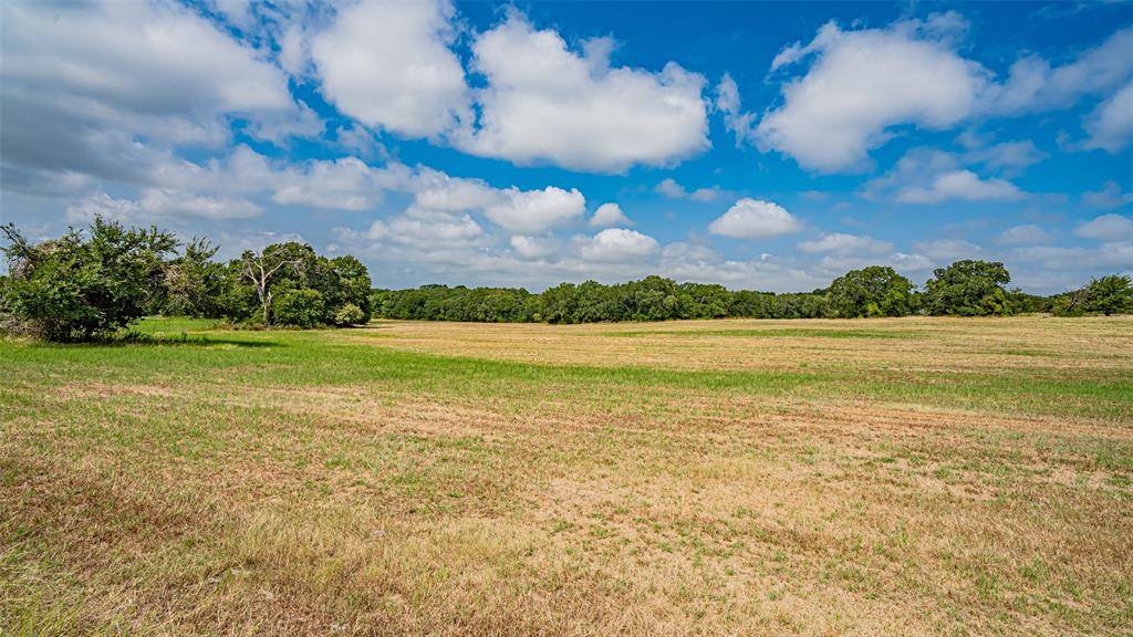 Azle, TX 76020,TBD 1 Briar Road