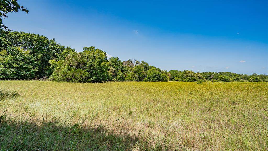 Azle, TX 76020,TBD # 4 Briar Road