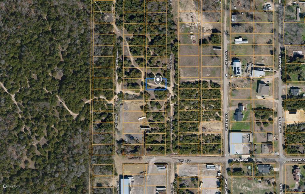 Midlothian, TX 76065,TBD Elizabeth Avenue