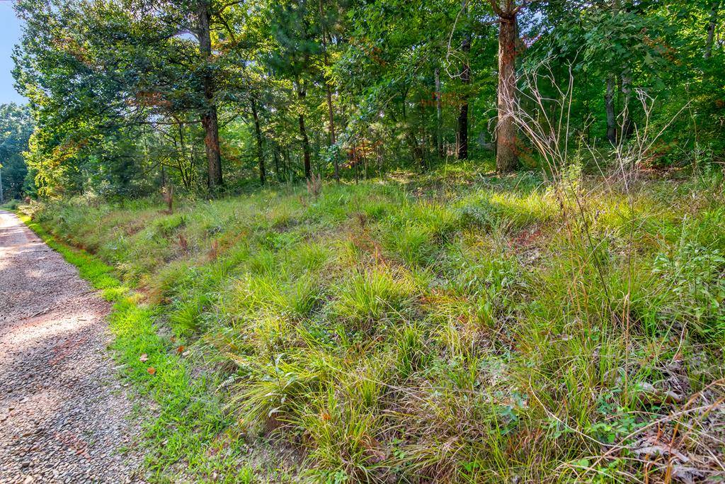 Ellijay, GA 30540,lot 6 Mission Hill Road