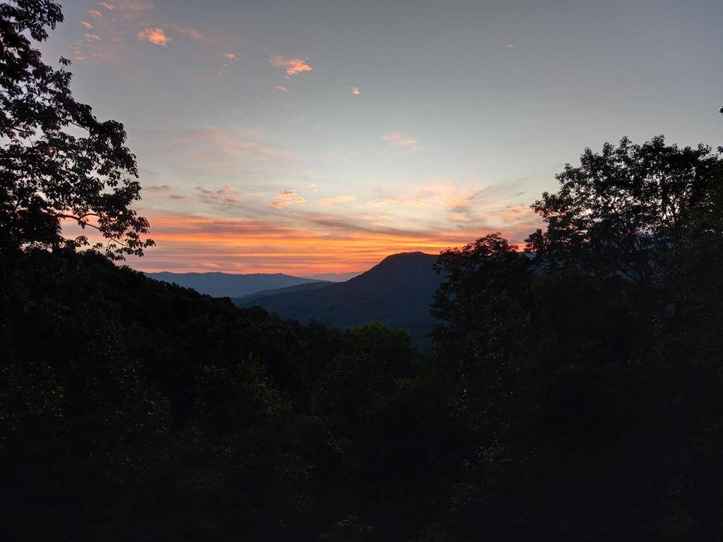 Hiawassee, GA 30546,7031 Black Bear Trail