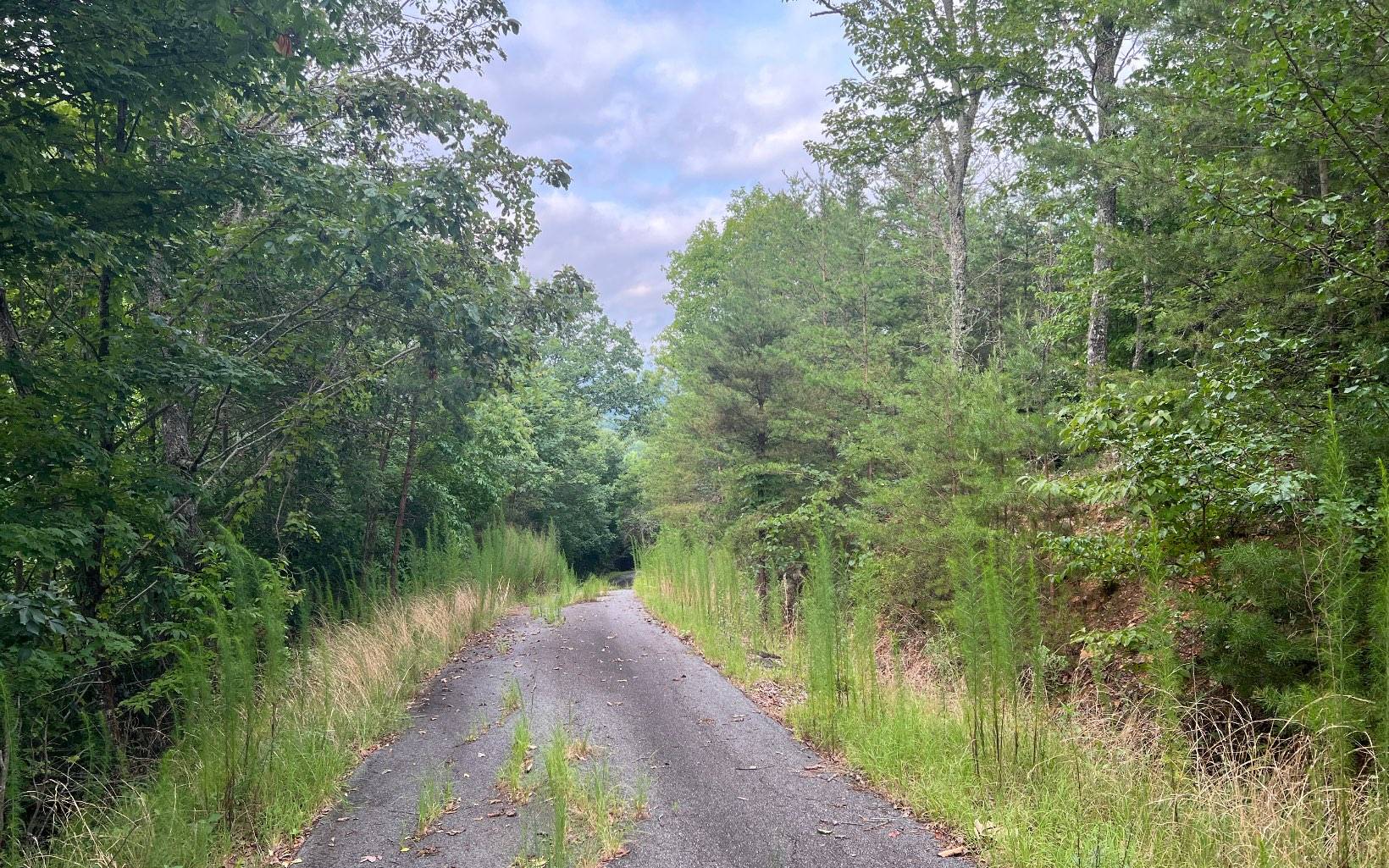 Brasstown, NC 28902,LOT 8 The Preserve at Beach Mountain