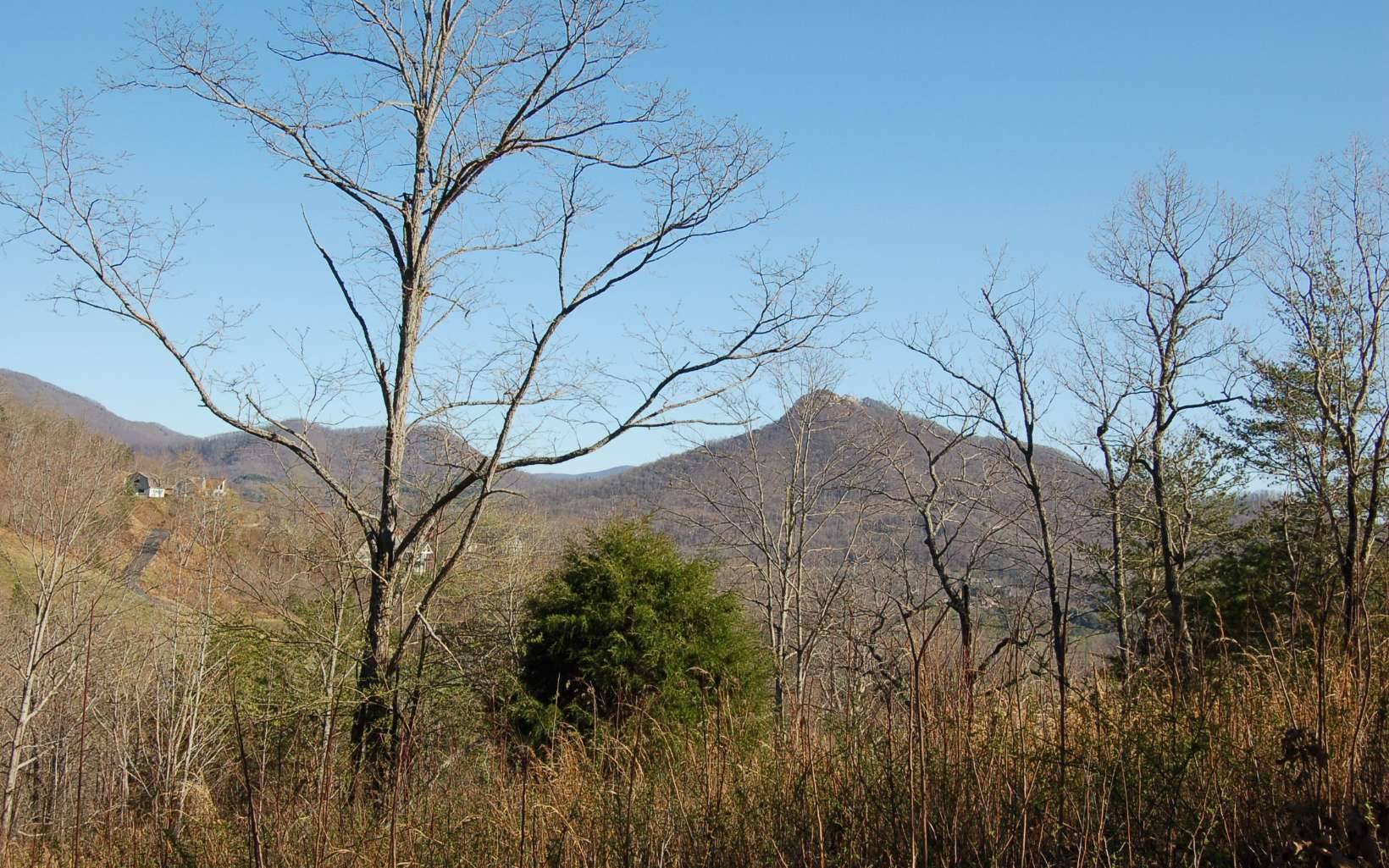 Hayesville, NC 28904,9 Dan Knob Drive