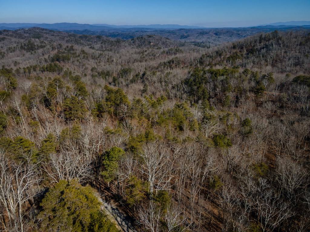 Ranger, GA 30701,4.78 Ac Bell Court