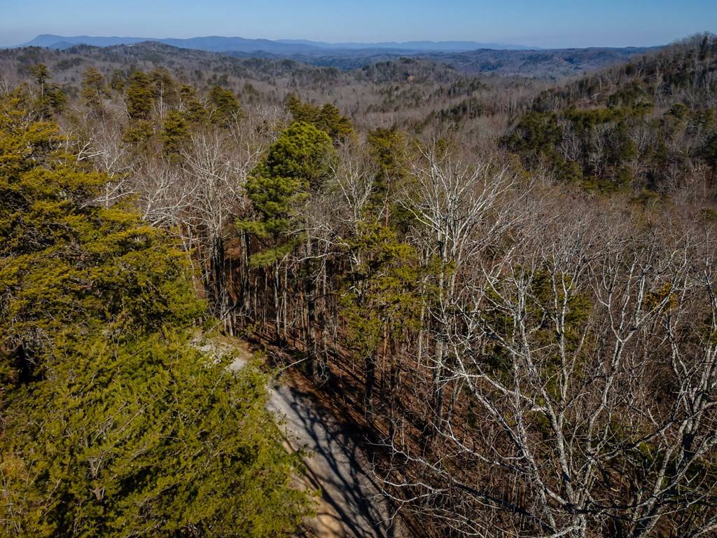 Ranger, GA 30701,4.78 Ac Bell Court