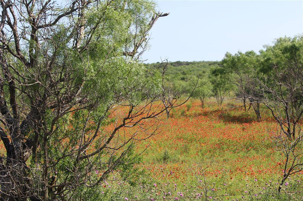 Blanket, TX 76432,9999 County Road 334