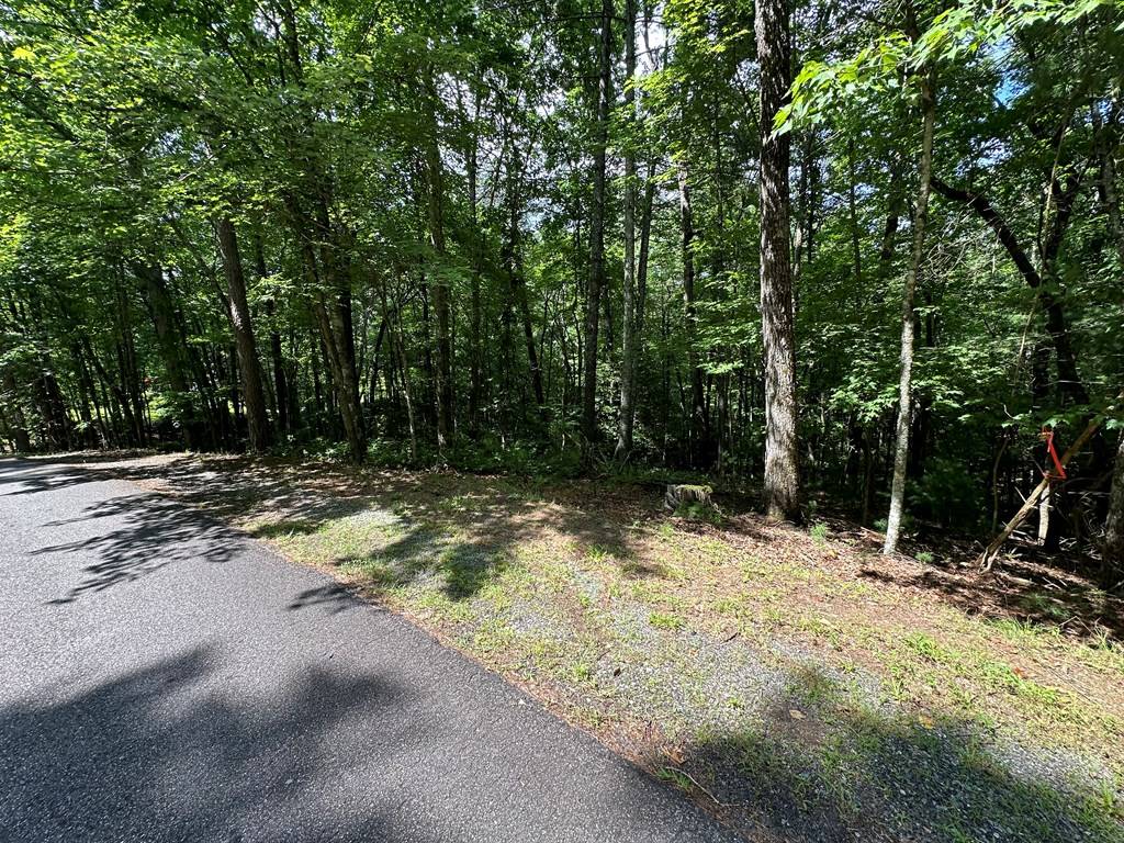 Ellijay, GA 30540,Lot 305 Seneca