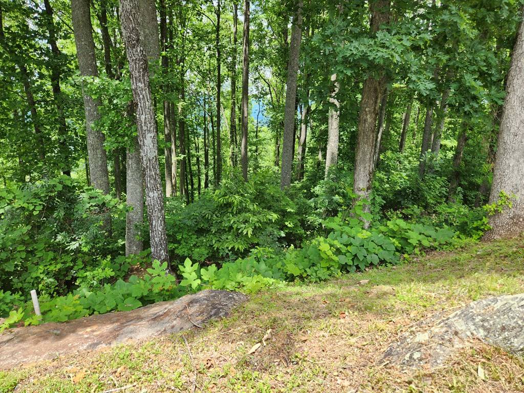 Young Harris, GA 30582,Lot 18 Rocky Knob Estates