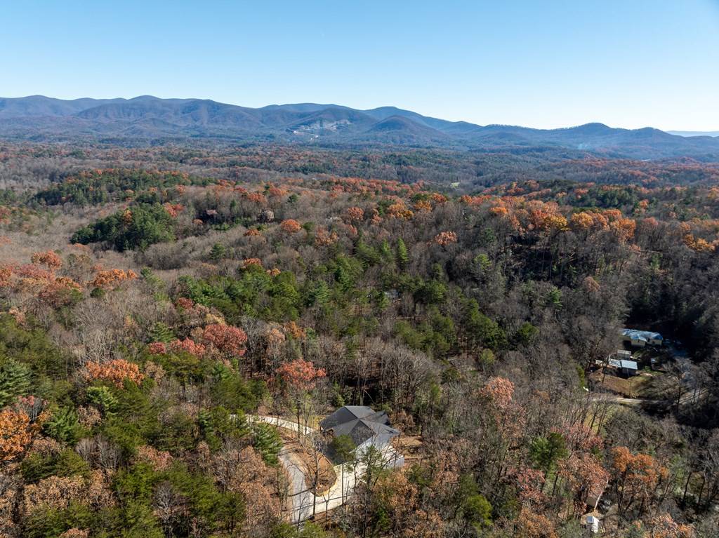 Ellijay, GA 30540,289 Scott Hollow Road