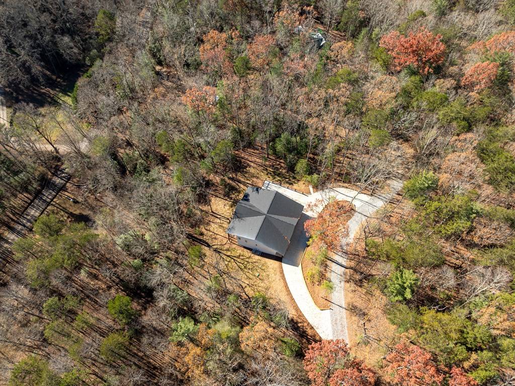 Ellijay, GA 30540,289 Scott Hollow Road