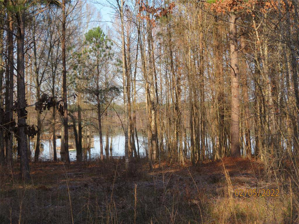 Lewisville, AR 71845,3 Hidden Cove