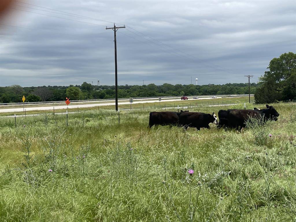 Alvord, TX 76225,1729 Highway 287