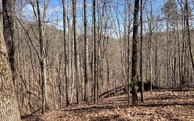 Redbud, GA 30734,1114 Bethel Ct - Lot 1114