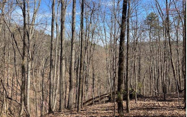 Redbud, GA 30734,1114 Bethel Ct - Lot 1114