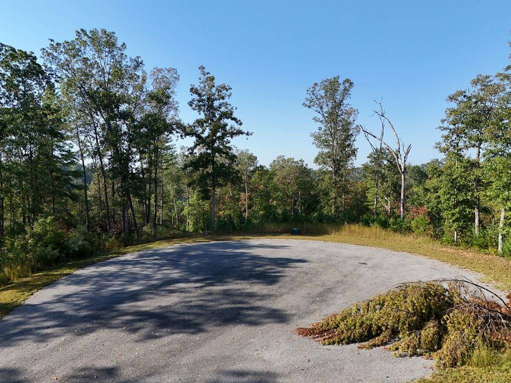 Ellijay, GA 30540,Lot 54 High River Landing