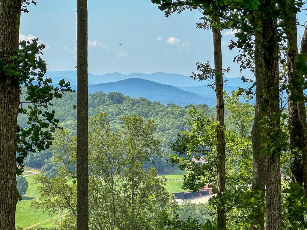 Blairsville, GA 30512,0 Winding Ridge