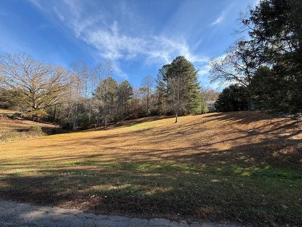 Hiawassee, GA 30546,Lot 5 Victoria Woods