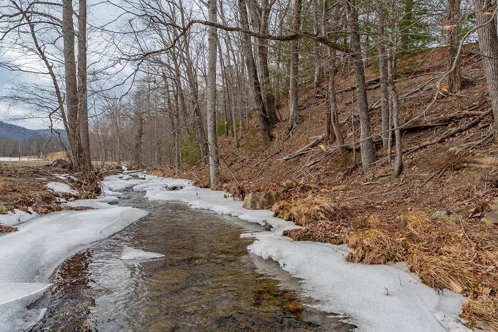 Dublin, VA 24084,TBD Spur Branch Rd