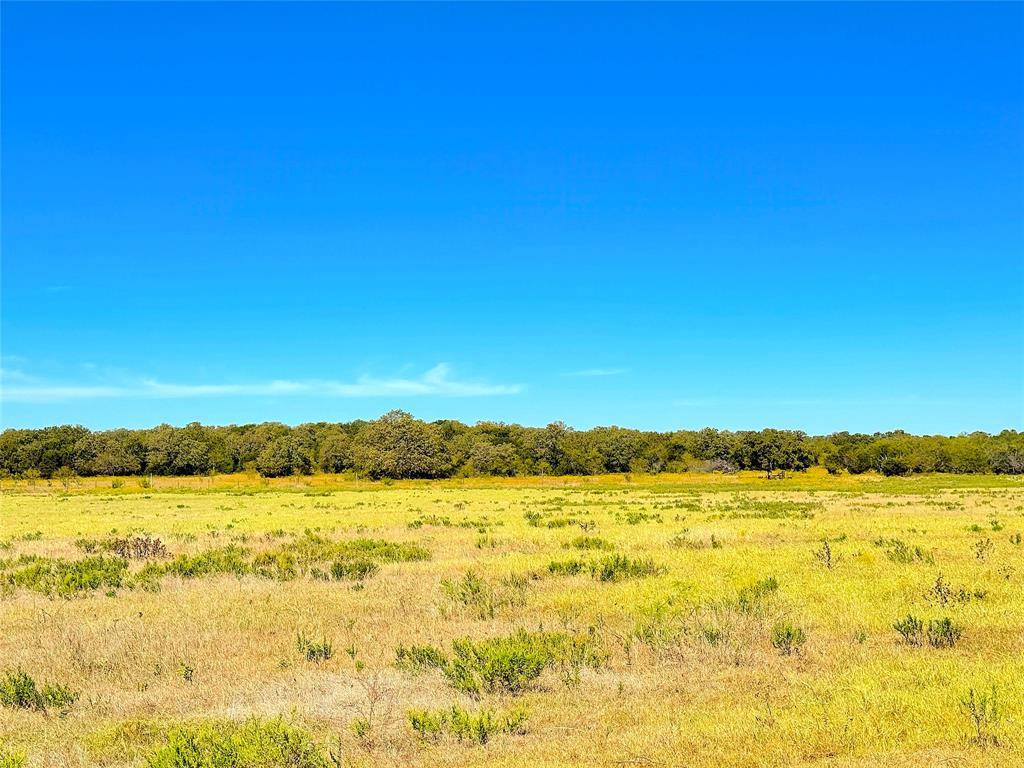 Mineral Wells, TX 76067,TBD Tract 1 Hayes Road