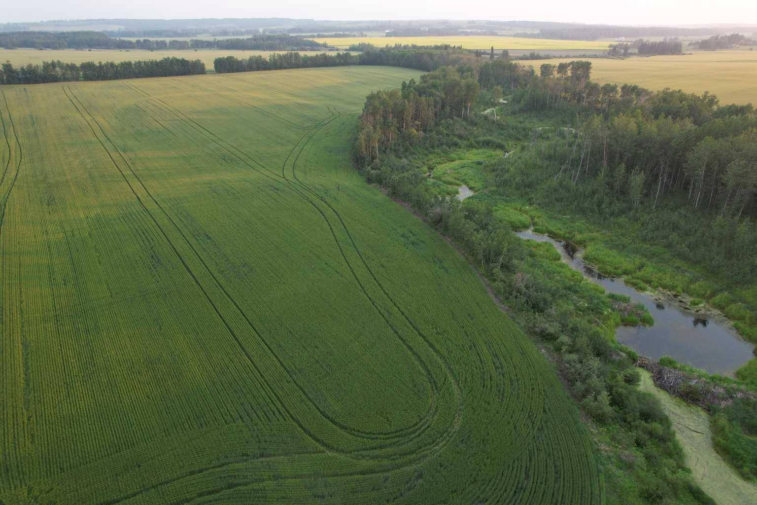 Rural Ponoka County, AB T0C0M0,ON Range Road 30A