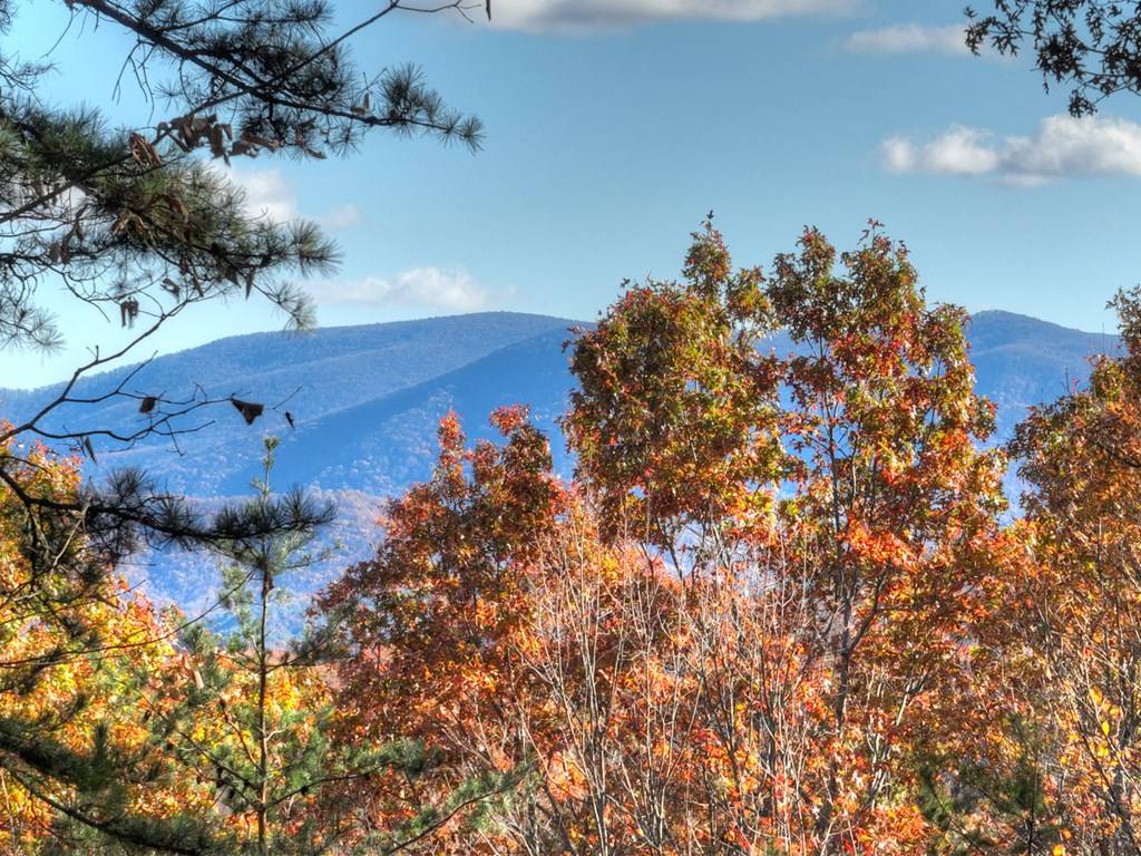 Cherry Log, GA 30522,462 Lower Prince Mountain Road