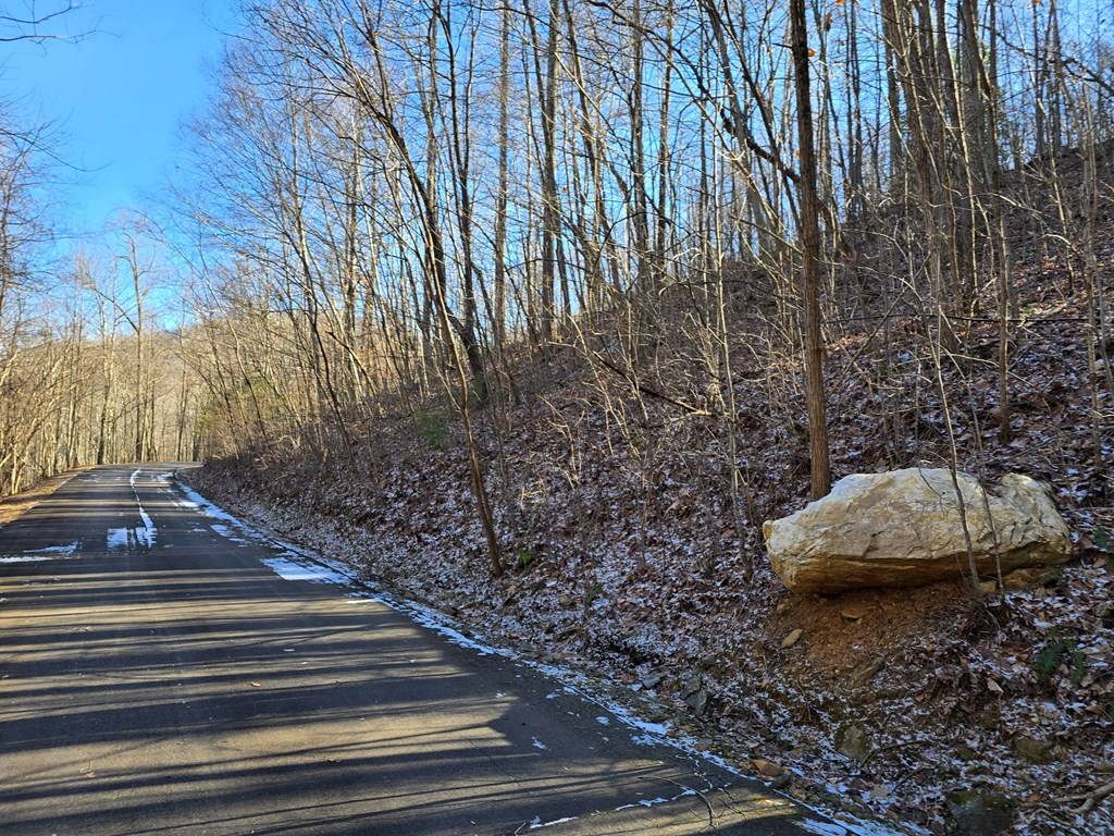 Young Harris, GA 30582,Lot #8 Overlook At Y. H.