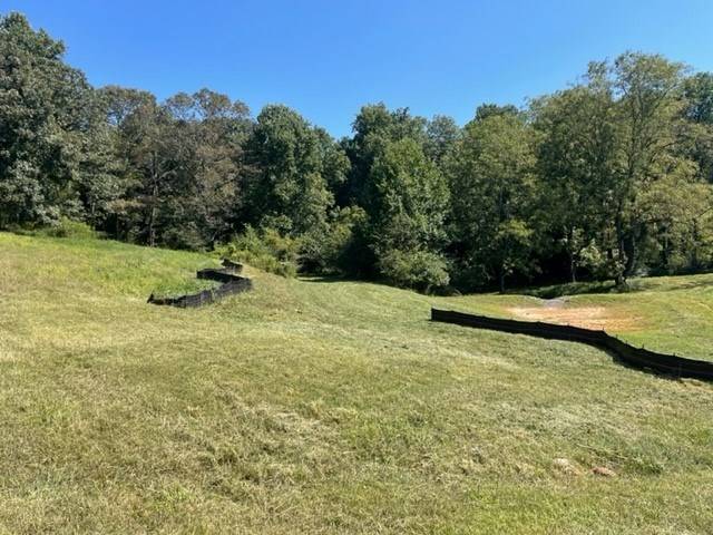 Ellijay, GA 30536,Lot 16 Clear Creek Preserve Way