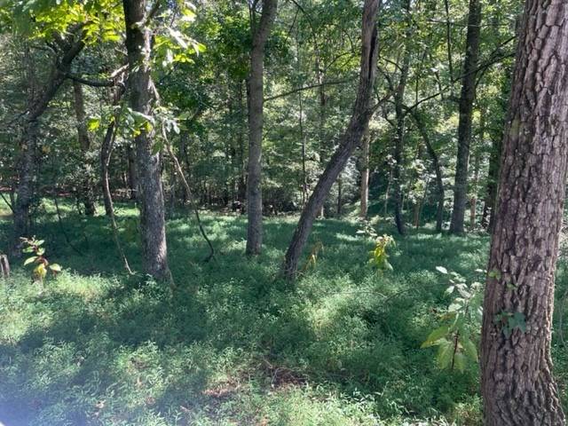 Ellijay, GA 30536,Lot 16 Clear Creek Preserve Way