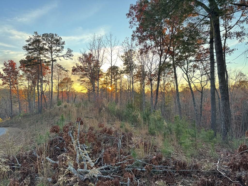 Ellijay, GA 30541,LOT 133 Sundown Trail