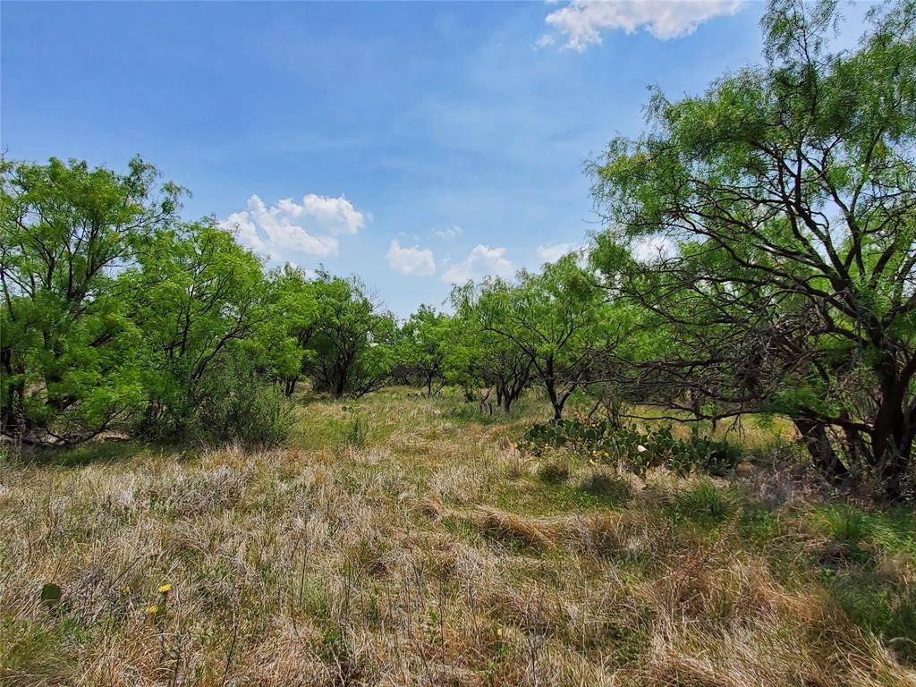 Throckmorton, TX 76483,TBD CR 232