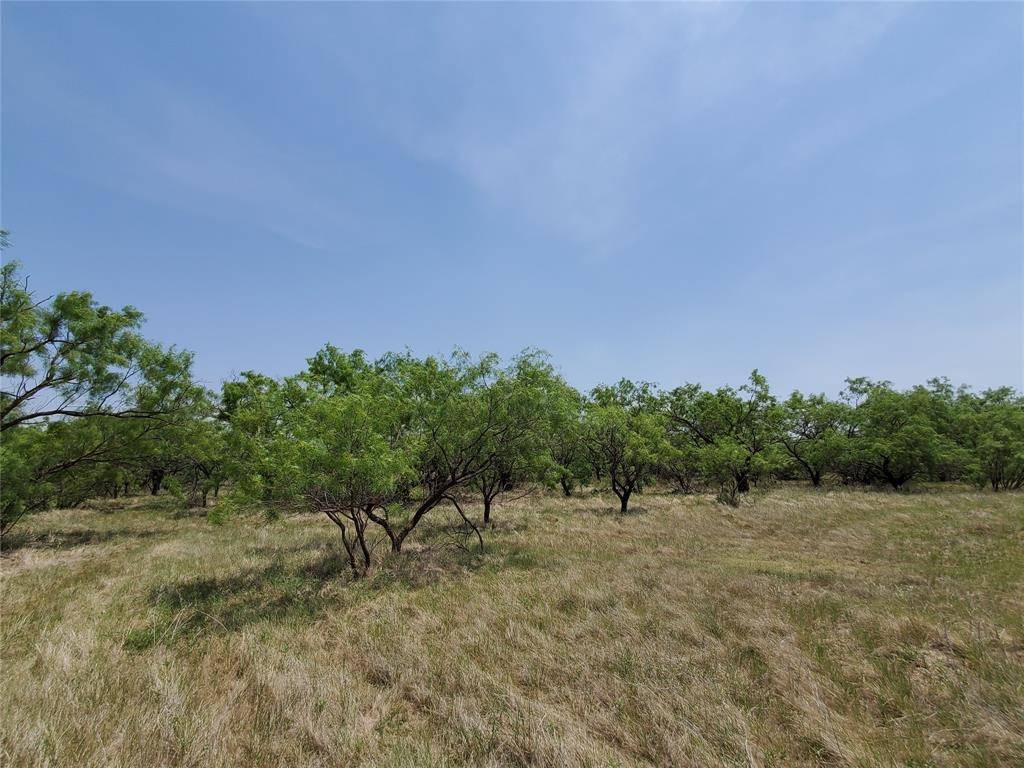 Throckmorton, TX 76483,TBD CR 232