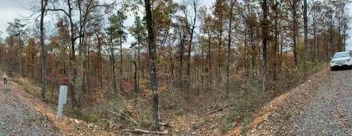 Broken Bow, OK 74728,Lot 31 Moonshiner Springs Trail